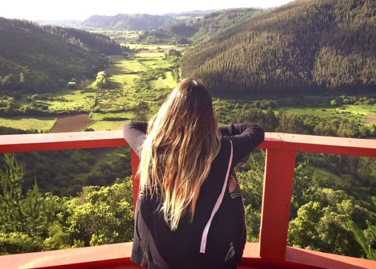 Ministerio de Hacienda introduce cambios en reglamento de Fogape para perfeccionar la entrega de Créditos Covid