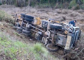 Camión volcó en ruta Quirihue a Trehuaco