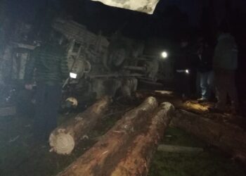 Camión volcó en calle Rehue arrasando con todo y provocando corte del suministro eléctrico en Cobquecura