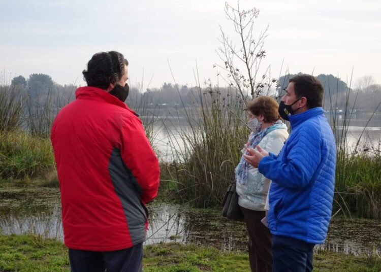 Denuncia por construcción de condominio podría transformar laguna Avendaño en humedal urbano