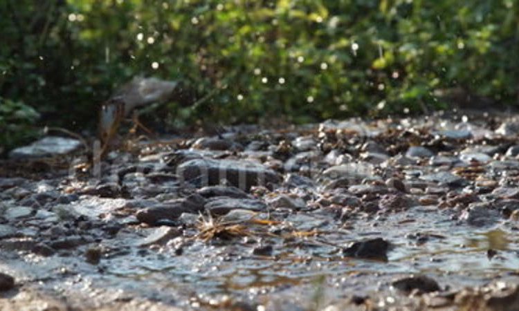 Declaran Alerta Temprana Preventiva para la región de Ñuble por evento meteorológico de lluvias