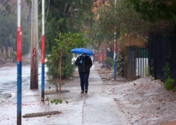 Carabineros detuvo a 51 personas por infringir el toque de queda en Ñuble