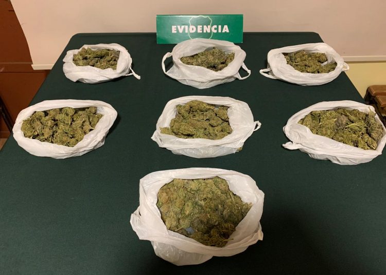 OS7 Ñuble detuvo a tres sujetos que intentaron huir de fiscalización con droga en vehículo