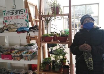 Hoy se realiza en Quirihue la Primera feria virtual para emprendedores