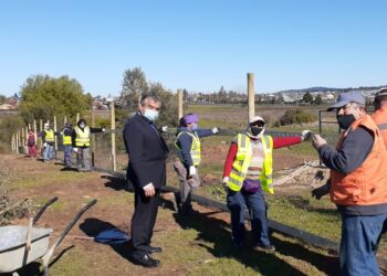 Municipio de Quirihue continúa arborizando centro recreativo y deportivo Pablo Neruda