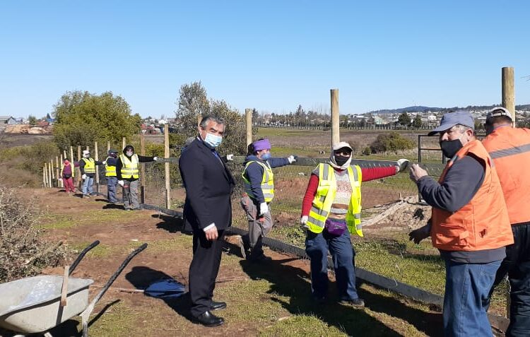 Municipio de Quirihue continúa arborizando centro recreativo y deportivo Pablo Neruda