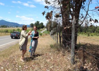 Empresa Dekra se adjudicó licitación de Planta de Revisión Técnica en Quirihue