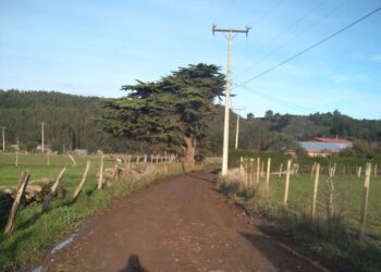 Municipio de Cobquecura realiza trabajos de mantención en camino a La Reforma