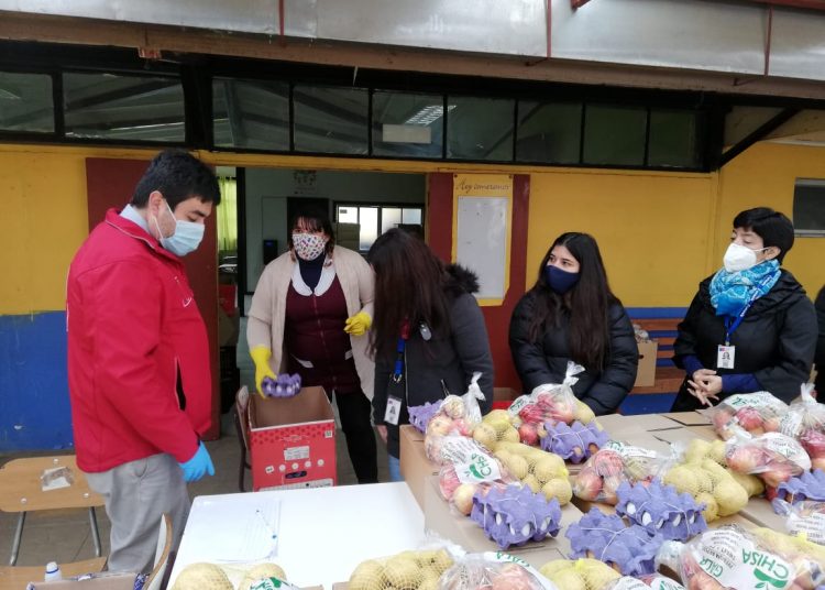 Mineduc completará la entrega de casi 400 mil canastas de alimentos para estudiantes de la Región de Ñuble