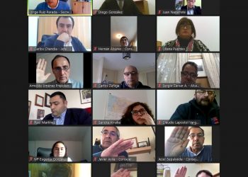 Consejo Regional de Ñuble aprueba nuevos proyectos para Salud, Agricultura y Desarrollo Social