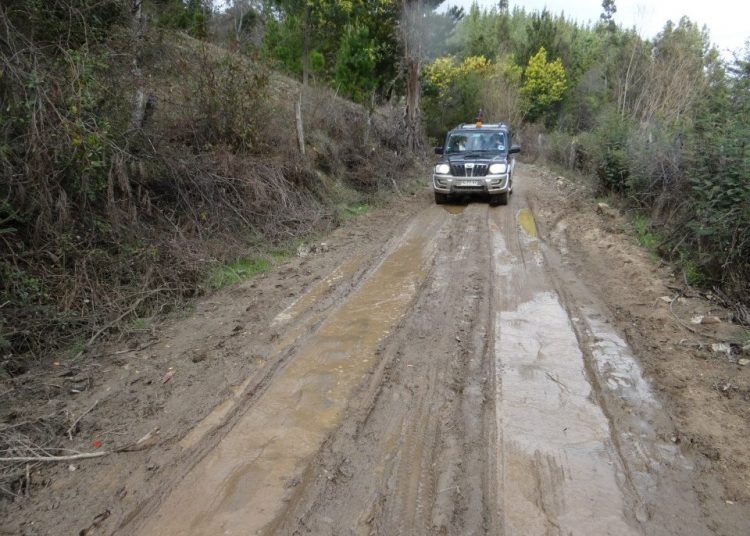 Concejal quirihuano valora que sus demandas por mejoramiento de caminos rurales hayan sido escuchadas