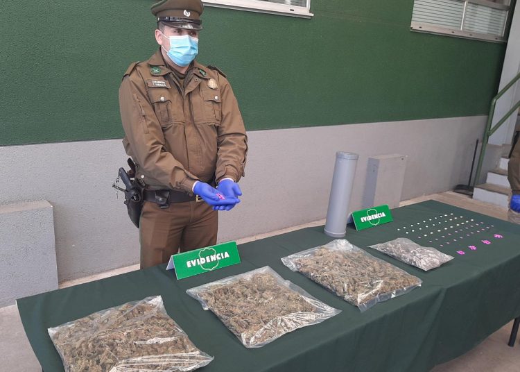 Carabineros del OS7 Ñuble incautó marihuana, éxtasis y hongo «cucumelo» en control carretero