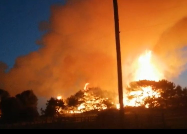 Incendio dañó bodega en sector de Trehualemu camino a Curanipe
