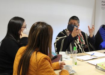 Inédita mesa de trabajo inició la Gobernación de Itata, junto a Conadi y asociaciones indígenas