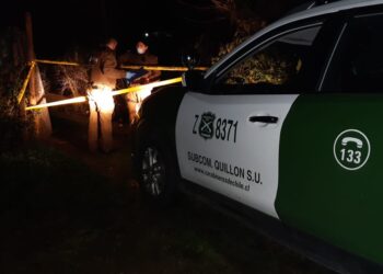 Chofer de camioneta murió al chocar contra árboles en la ruta Quillón a Florida