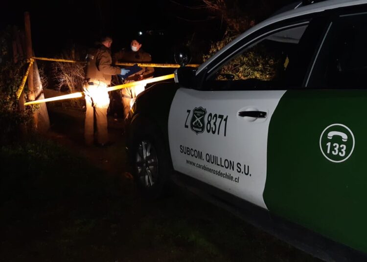 Chofer de camioneta murió al chocar contra árboles en la ruta Quillón a Florida