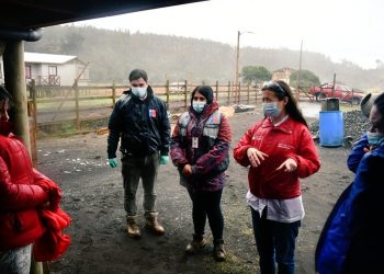 Pandemia: 110 mil 867 fiscalizaciones ha realizado la Autoridad Sanitaria en Ñuble