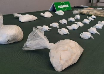 OS7 Ñuble desarticuló organización criminal e incautó 3 mil dosis de cocaína y marihuana en Chillán
