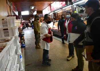 Fiestas Patrias: Autoridad Sanitaria ha decomisado 402 kilos de carne en Ñuble