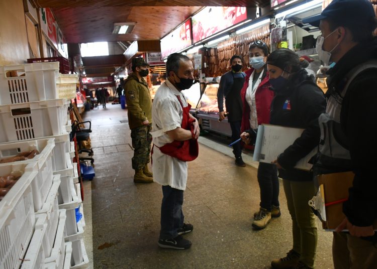 Fiestas Patrias: Autoridad Sanitaria ha decomisado 402 kilos de carne en Ñuble