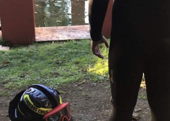 Trágica muerte de niño de 4 años al caer accidentalmente a piscina en Coihueco