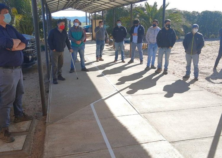 8 empresas mostraron interés por trabajos de mejoramiento de escuela Chudal en Portezuelo