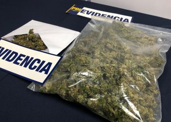 PDI Chillán detuvo a balazos a hombre que intentó fugarse con medio kilo de cannabis