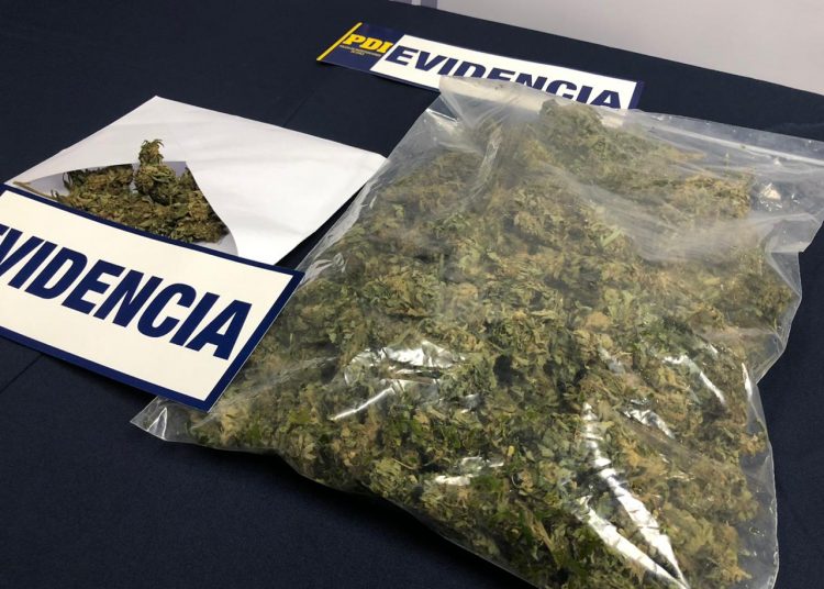 PDI Chillán detuvo a balazos a hombre que intentó fugarse con medio kilo de cannabis