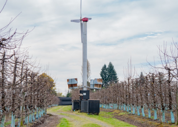 120 denuncias por ruidos molestos se han cursado en lo que va del año en Ñuble 
