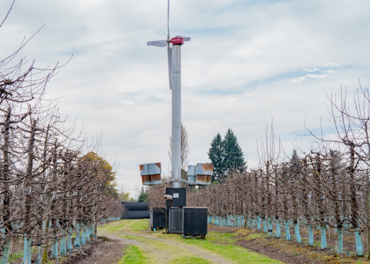 120 denuncias por ruidos molestos se han cursado en lo que va del año en Ñuble 