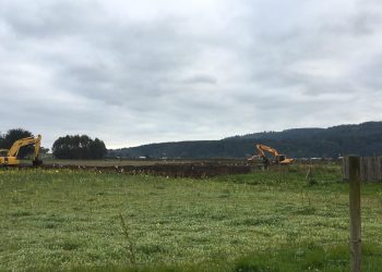 Realizan limpieza de río Cobquecura en sector El Molino
