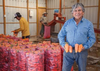 Pequeños agricultores podrán abastecer cpn alimentos a centros penitenciarios del país