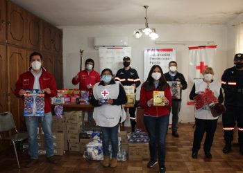 Jóvenes voluntarios de San Carlos reciben apoyo de INJUV