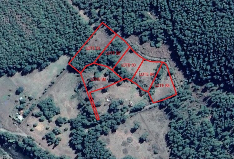 Abren licitación para venta de terrenos fiscales en Atacalco para el desarrollo de proyectos turísticos