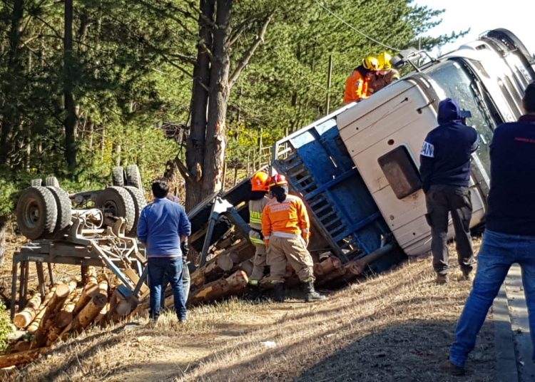 Camión con madera volcó en ruta Quirihue a Cauquenes