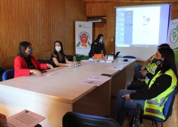Inician ciclo de capacitaciones para prevenir el Covid-19 en empresas forestales de Itata