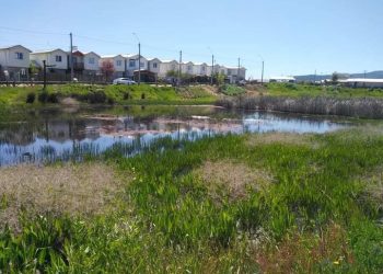 Quirihue logra ascenso en categoría de certificación medioambiental