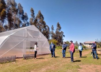 Liceo Bicentenario de Quirihue implementa modernos invernaderos para técnico forestal