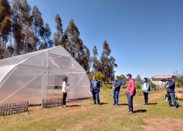 Liceo Bicentenario de Quirihue implementa modernos invernaderos para técnico forestal
