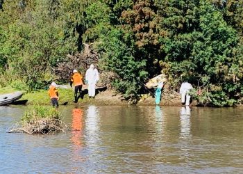 Labocar de Carabineros realizó pericias en Portezuelo para aportar a la investigación de la muerte de Carolina Fuentes Bustos