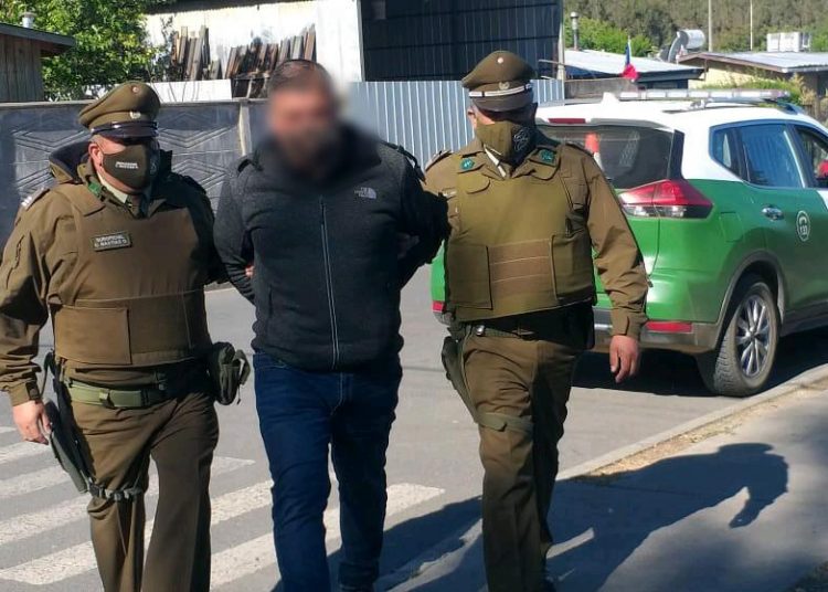 Formalizan a tres imputados por maltrato animal tras organizar pelea de gallos clandestina en Ninhue