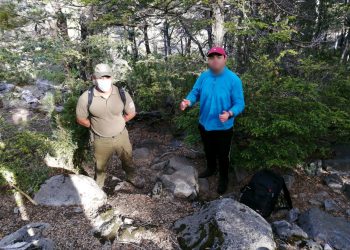 Carabineros y bomberos rescatan a excursionista extraviado en cordillera de San Fabián de Alico