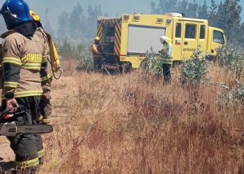 Incendio forestal moviliza a bomberos de Coelemu y Trehuaco