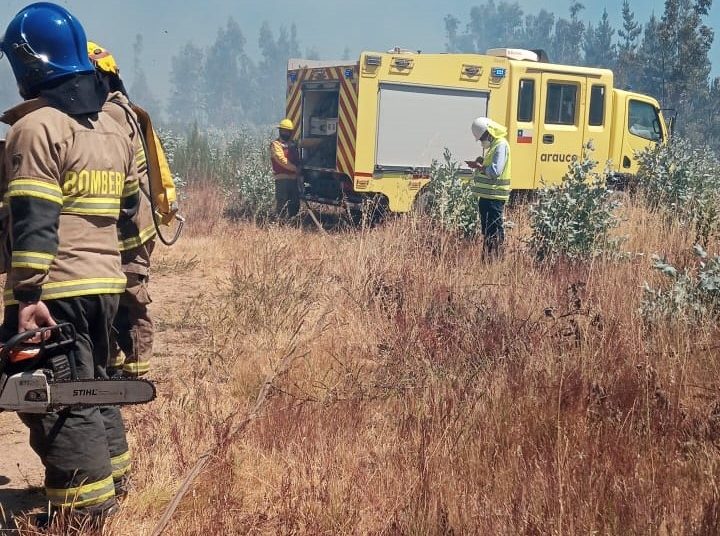 Incendio forestal moviliza a bomberos de Coelemu y Trehuaco
