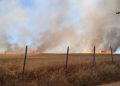 Incendio en cultivo de trigo amenaza viviendas en sector rural de Ninhue