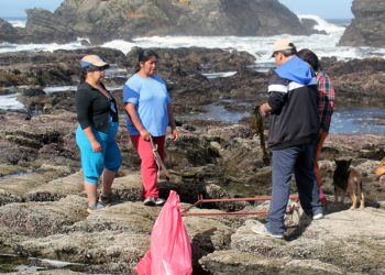 Pescadores artesanales llegan al comercio electrónico gracias a sitio web