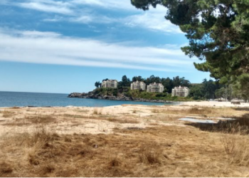 11 detenidos en fiesta clandestina que se realizaba en Pingueral esta madrugada