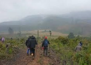 Más de 300 personas participan en frenética búsqueda del pequeño Tomás en Lebu