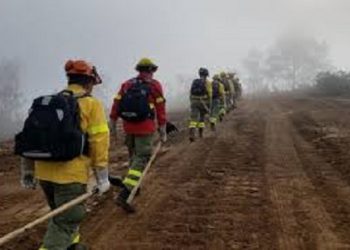  Corma repudió presunto actuar de brigadistas detenidos en Maule por provocar incendio
