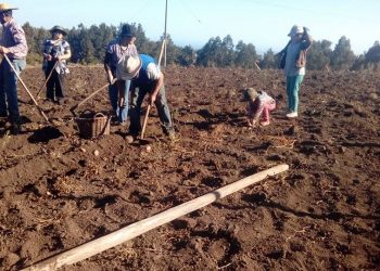 Casi un centenar de permisos agrícolas ha tramitado el municipio de Cobquecura